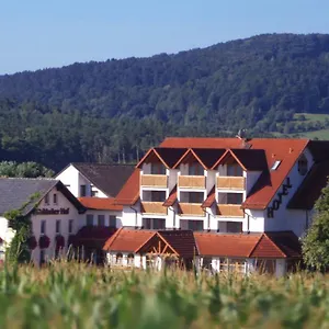 Hotel-restaurant Fränkischer Hof Deutschland